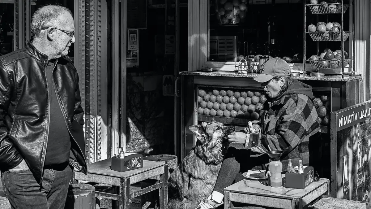 Dog having nails trimmed