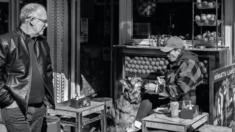 Dog having nails trimmed