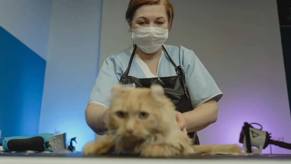 Dog having nails trimmed