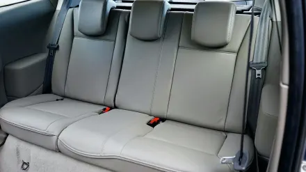 Dog in a car seat