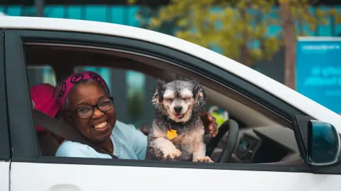 Dog in a car seat