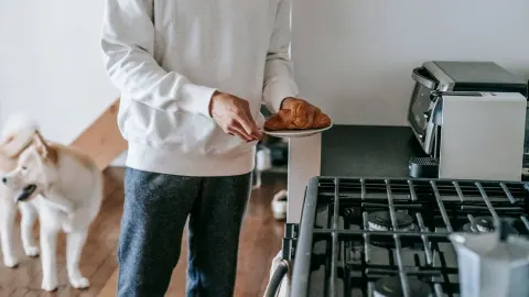 Dog in a kitchen with an owner