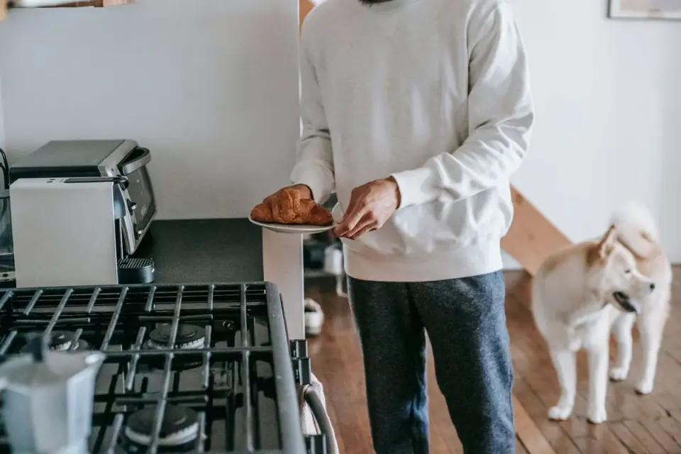 Dog in a kitchen with an owner