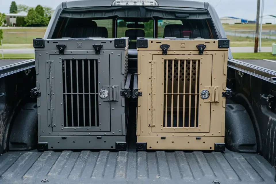 Dog in a travel crate