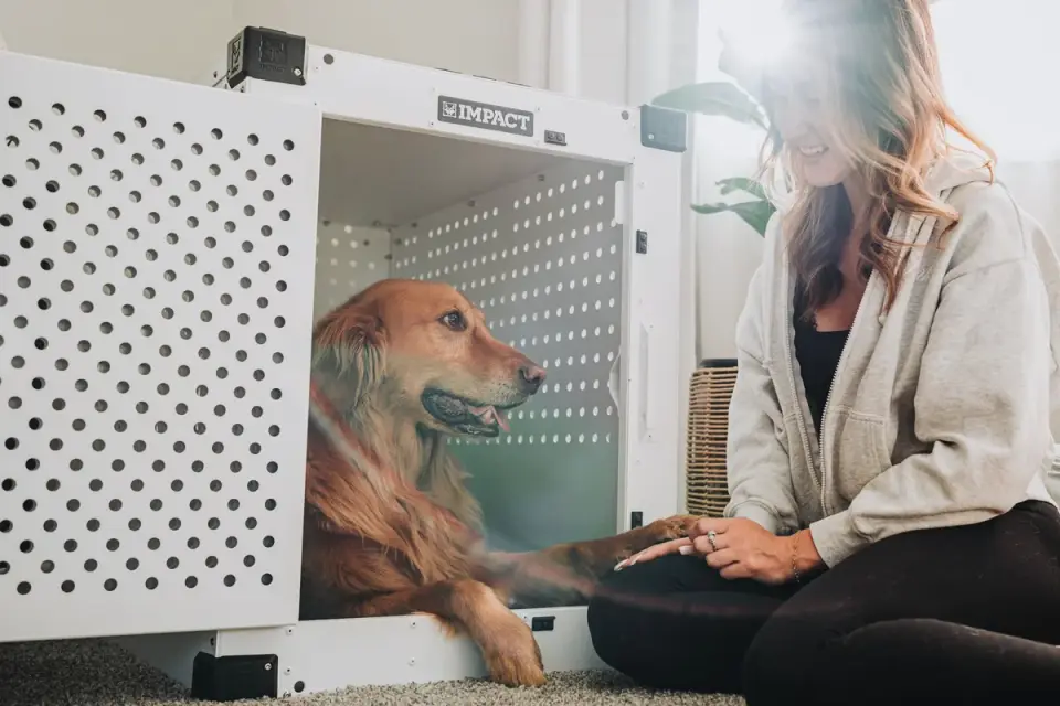 Dog in a travel crate