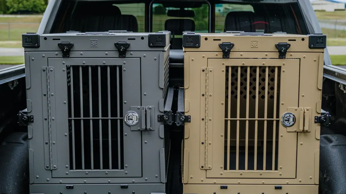 Dog in a travel crate
