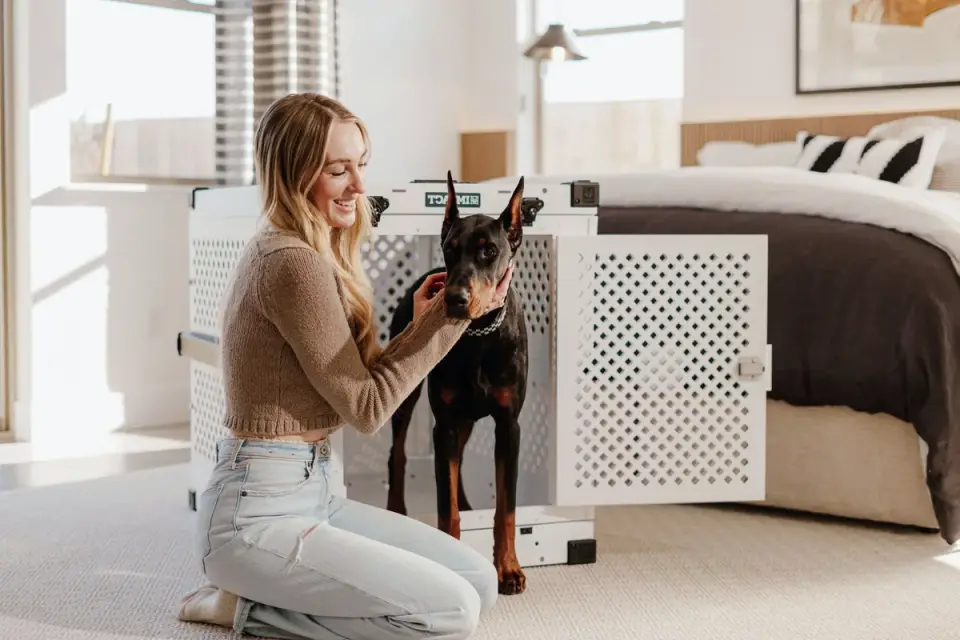 Dog in a travel crate