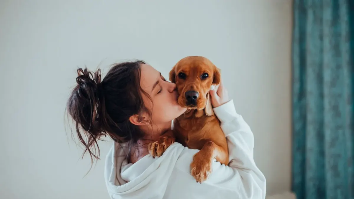 Dog in kitchen with owner