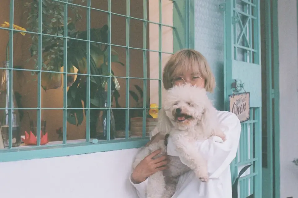 Dog in kitchen with owner