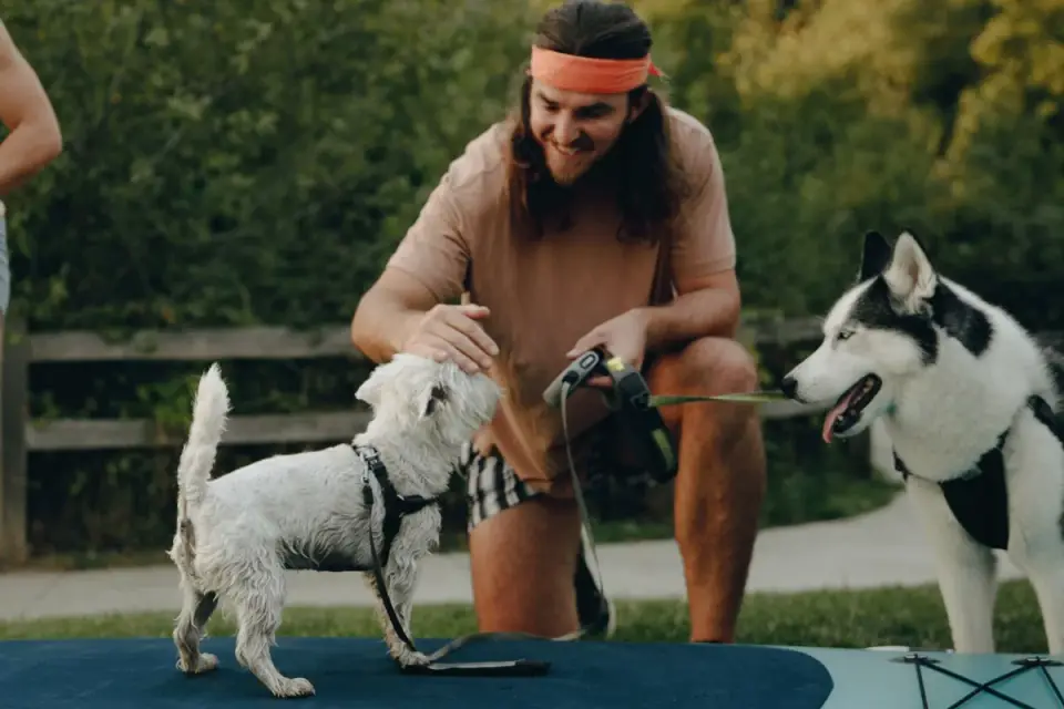 Dog leash in hand outdoors