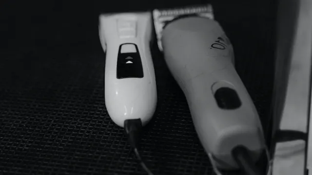 Dog nail clippers and a cordless nail grinder placed side by side on a grooming table