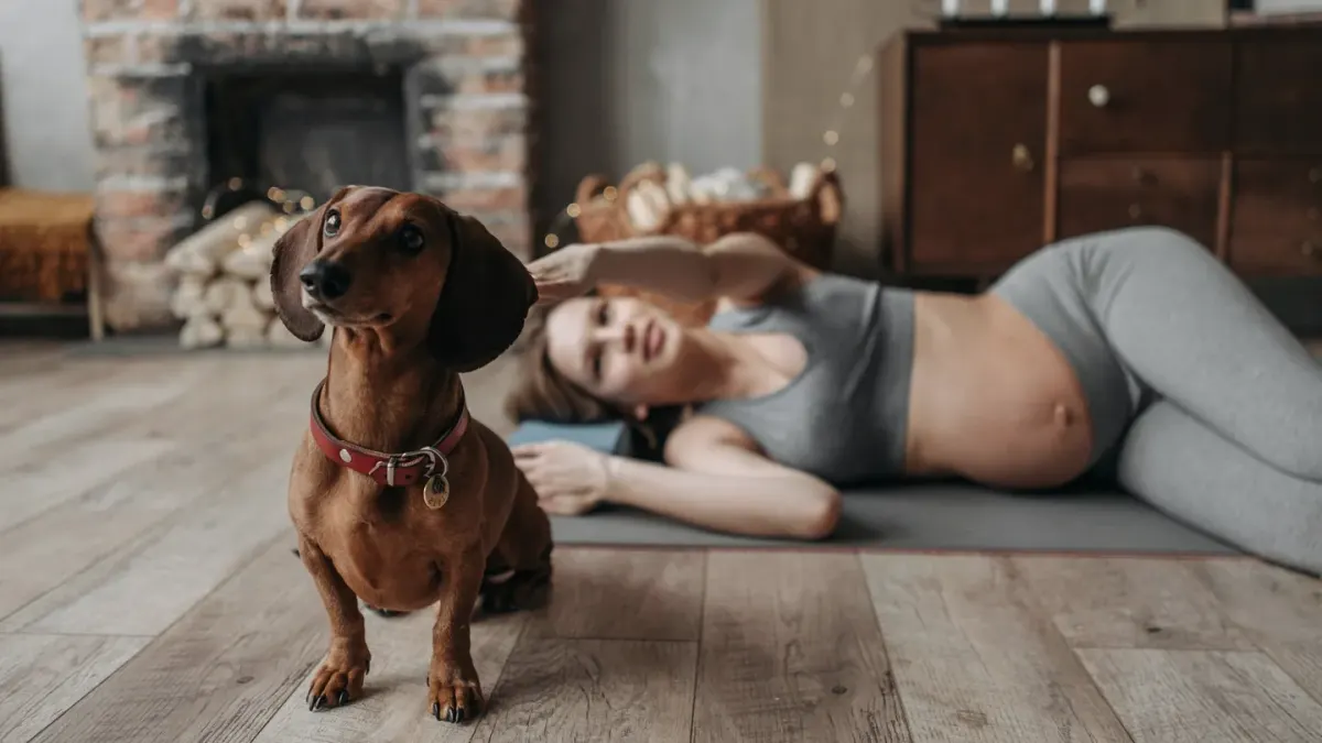 Dog near a fireplace