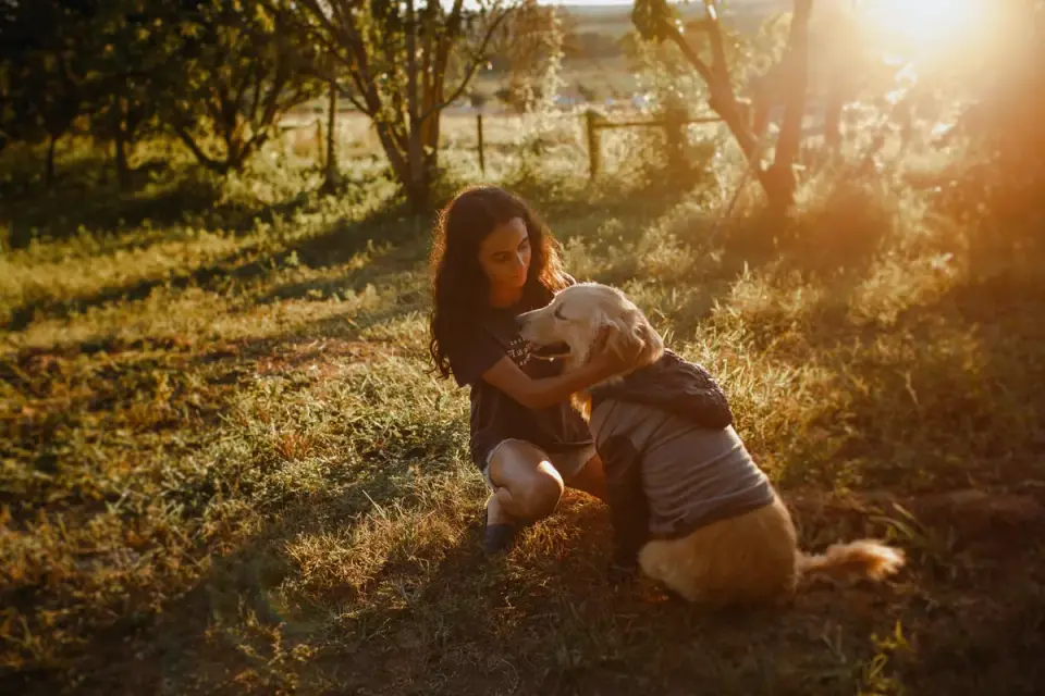 Dog owner comforting dog home