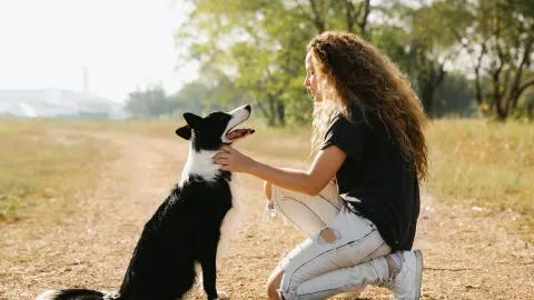 Dog owner comforting dog home