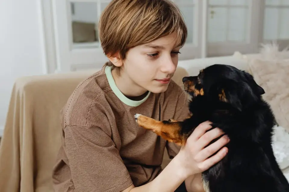 Dog owner gentle interaction home