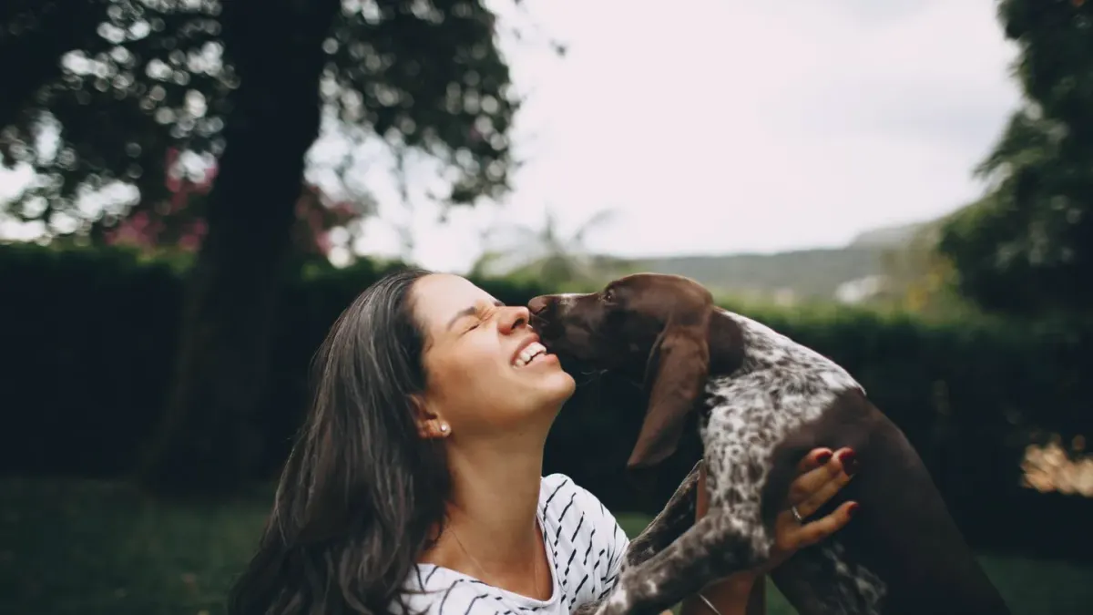 Dog owner gentle interaction home