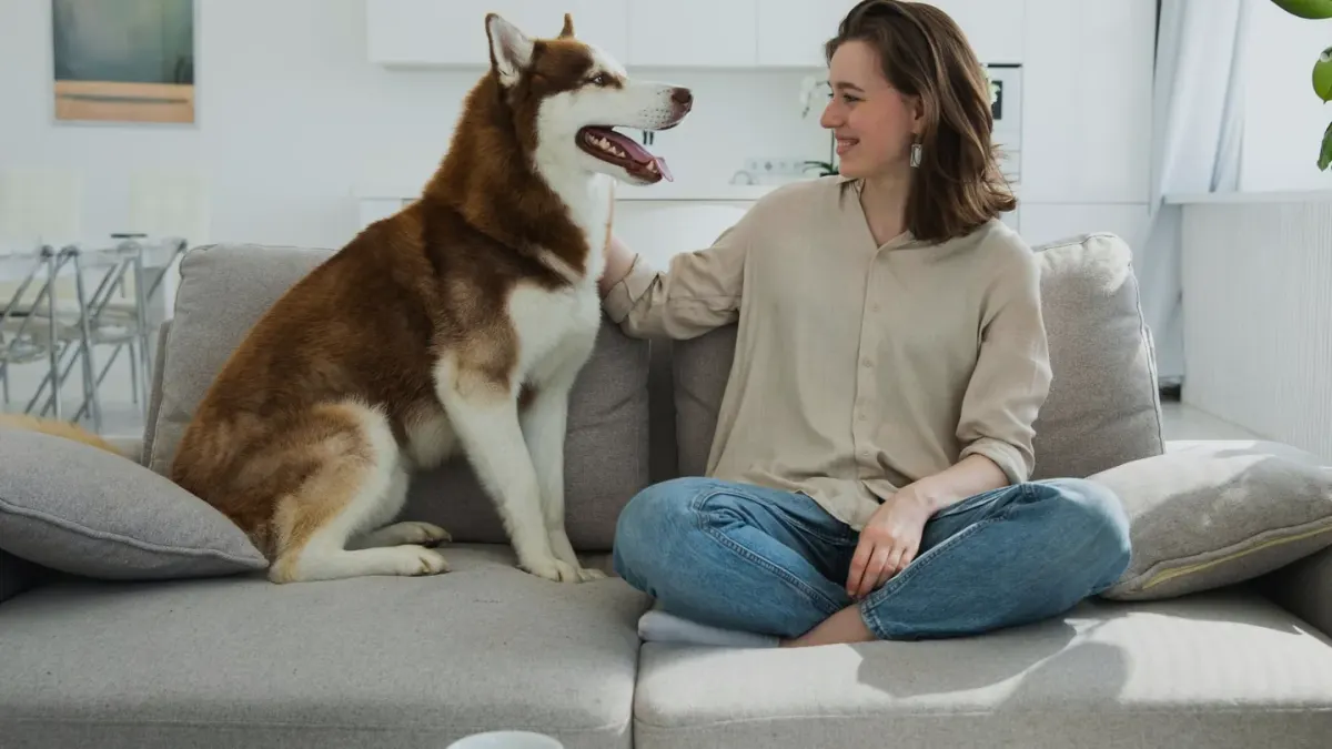 Dog owner home