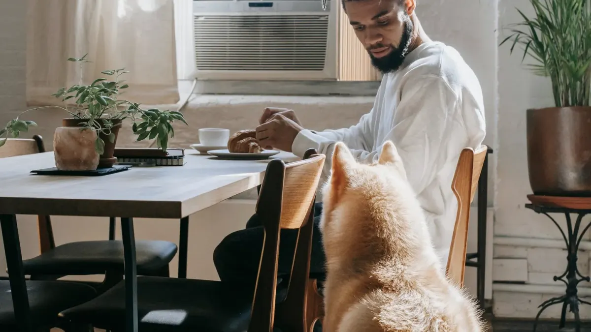 Dog owner preparing a meal