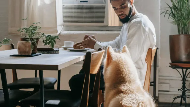 Dog owner preparing a meal