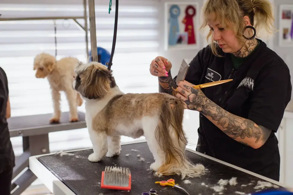 Dog remaining relaxed during a nail trim after marker-based training