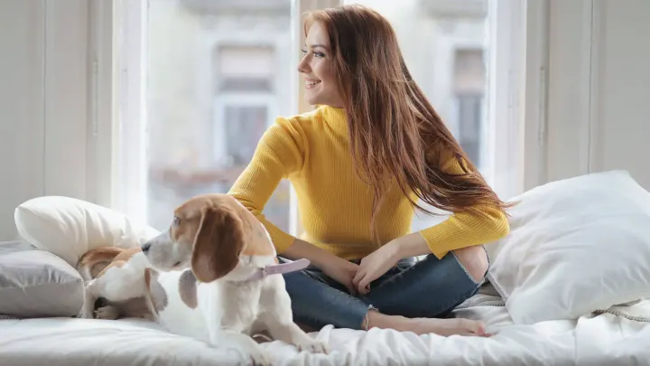 Dog resting beside an owner