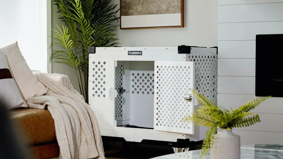 Dog resting calmly in an open crate without a collar on