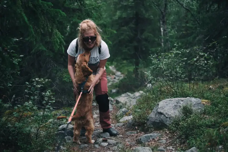 Dog running with an owner