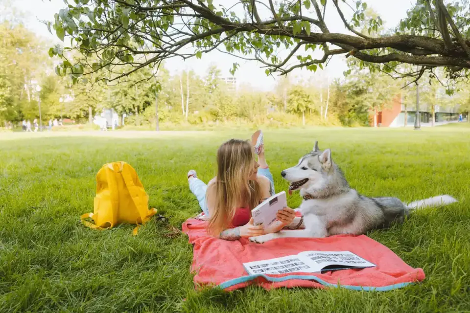 Dog training in park