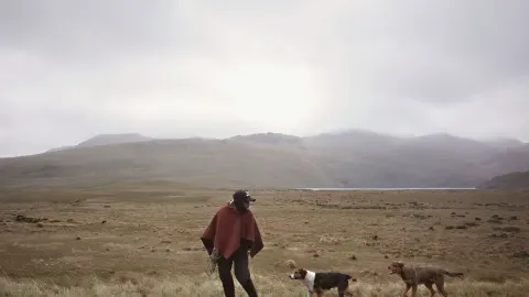 Dog traveling with owner outdoors