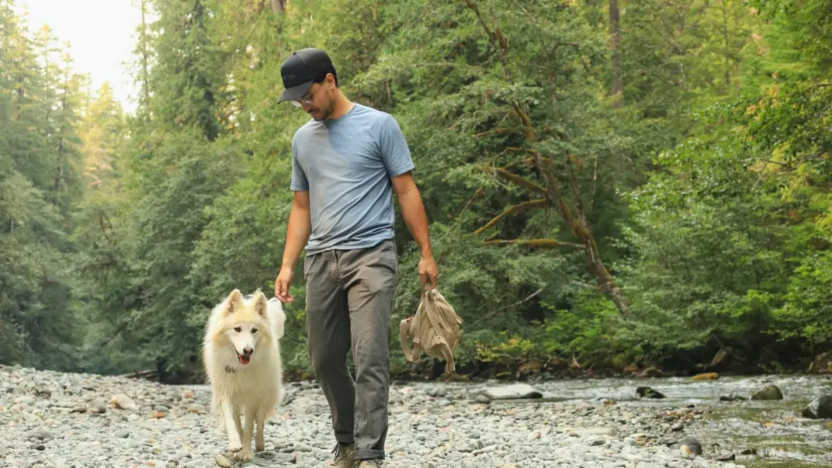 Dog walking beside an owner