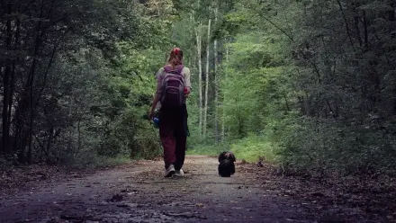 Dog walking beside an owner