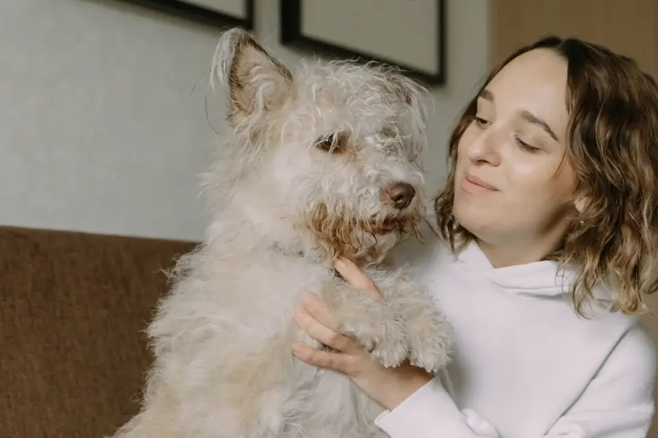 Dog with an owner at home
