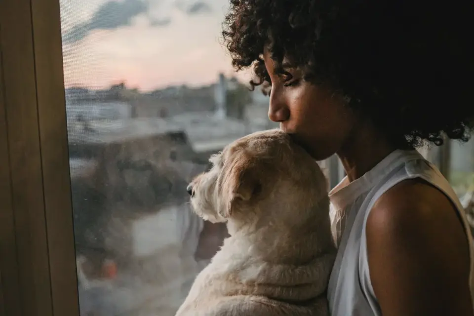Dog with an owner at home