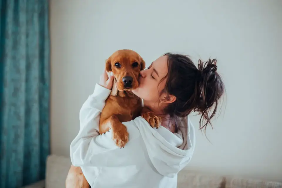 Dog with an owner at home
