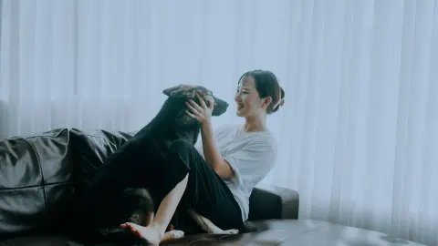Dog with an owner at home