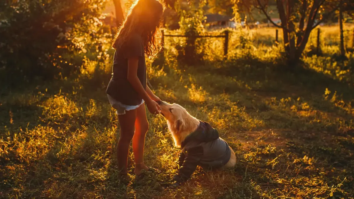 Dog with an owner at home