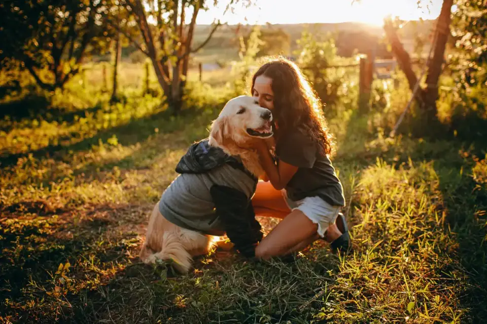 Dog with an owner at home