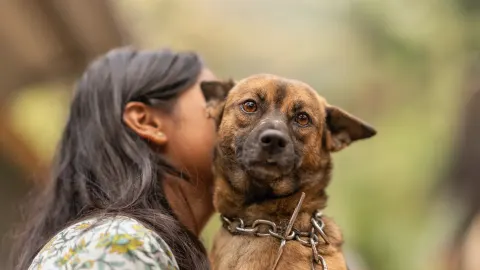 Dog with an owner at home