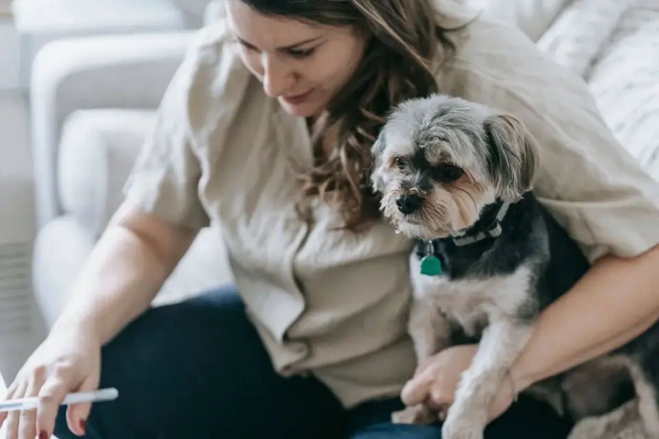 Dog with an owner