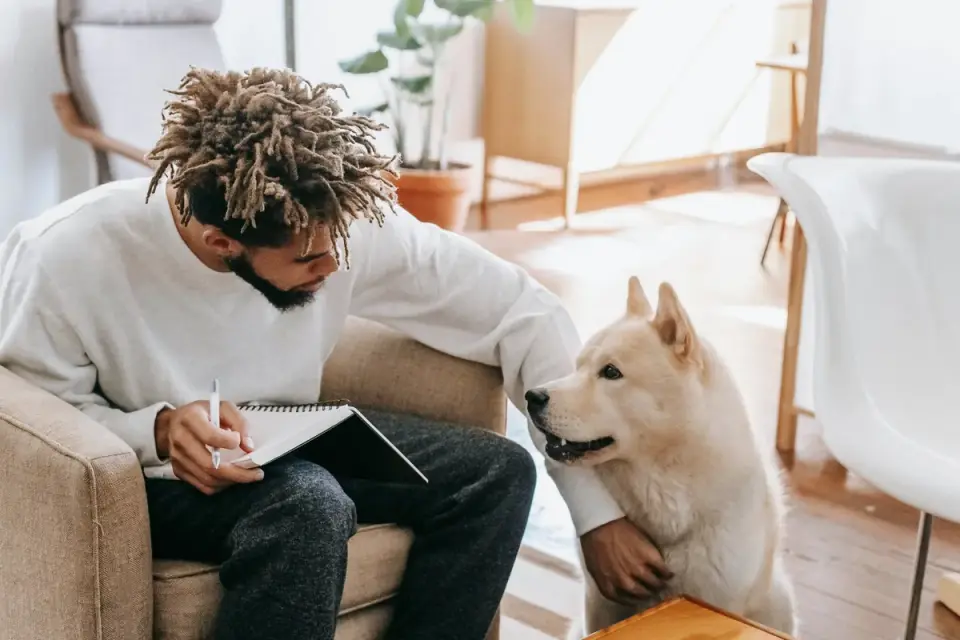 Dog with an owner
