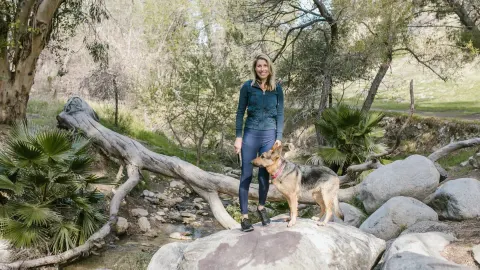 German shepherd standing outdoors