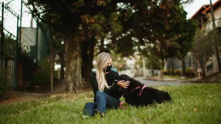 Older dog with an owner in a park
