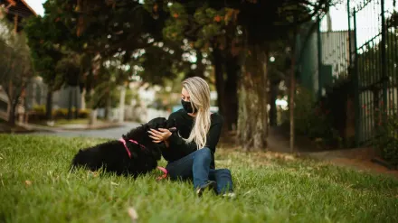 Older dog with an owner in a park