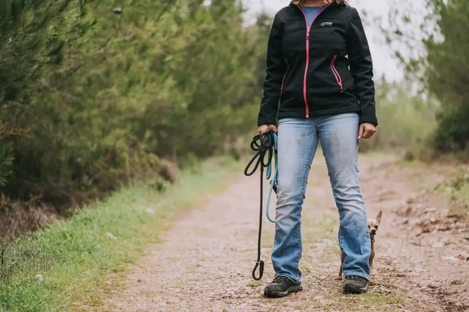 Owner and dog walking on an unlit trail with the dog&#x27;s collar glowing faintly