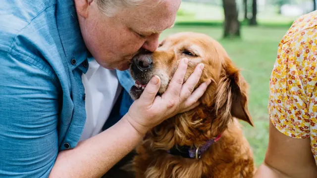 Owner rinsing a golden retriever during an outdoor bath