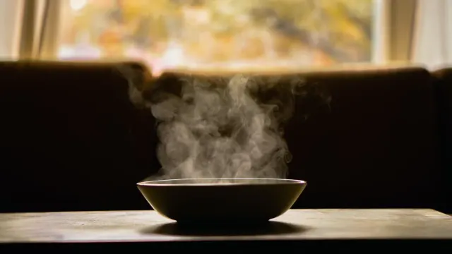 Small senior dog eating calmly from a ceramic bowl in a kitchen