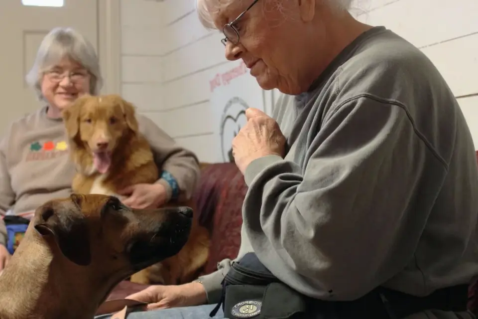 Soft chews in a small bowl beside a senior dog