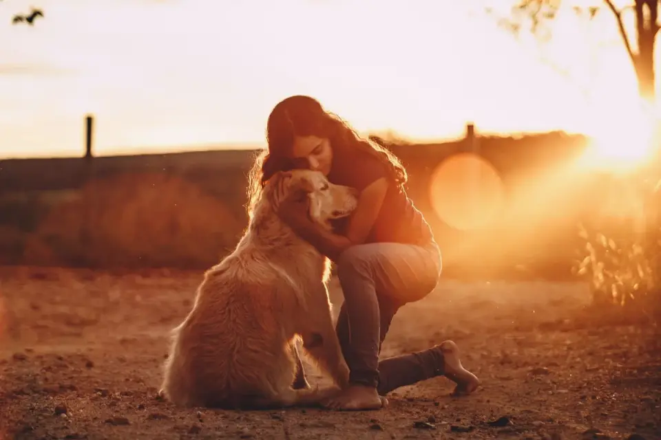 Veterinarian kneeling beside a dog while speaking with the owner in an exam room